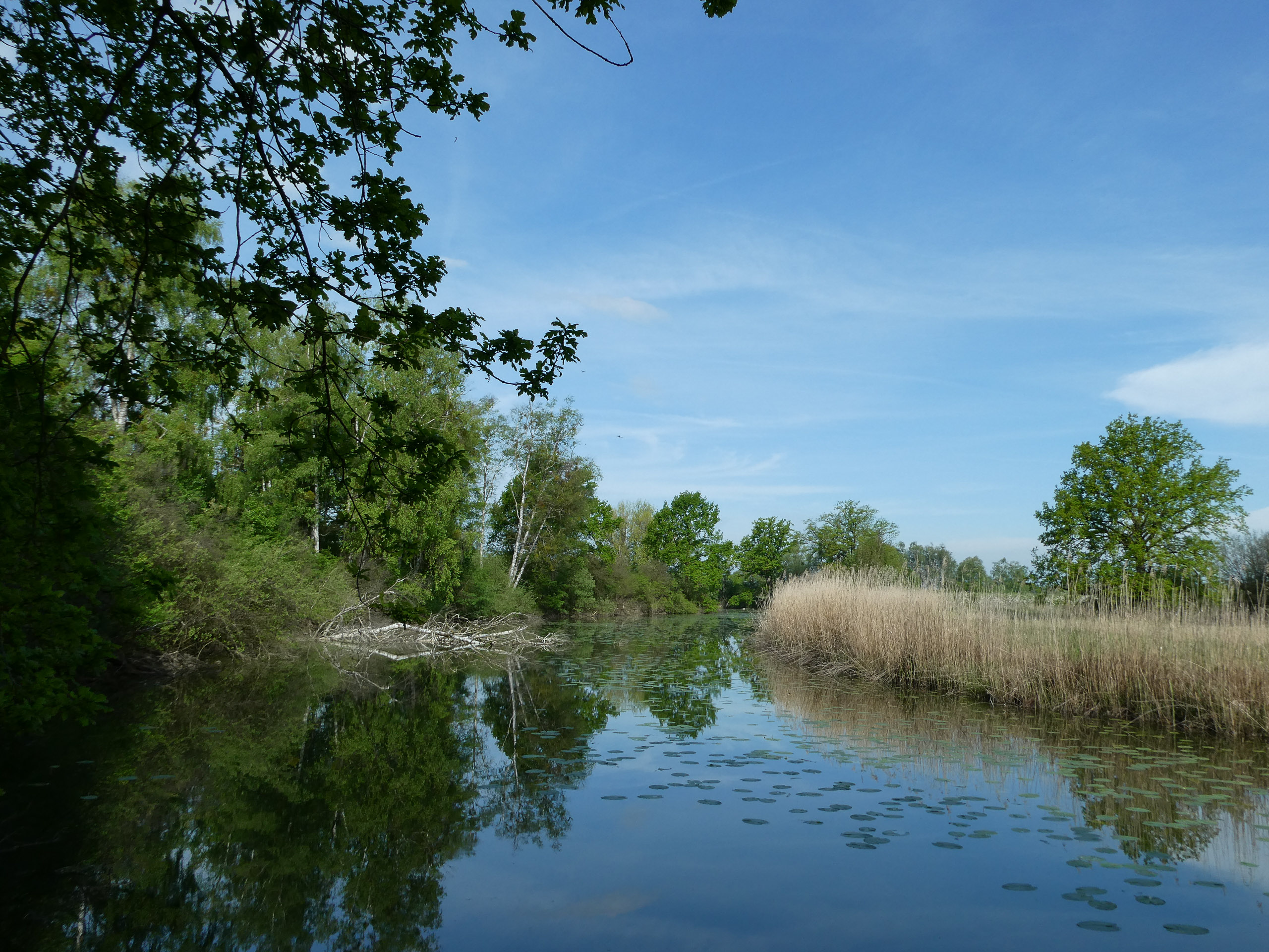 20230507094116 P1000225